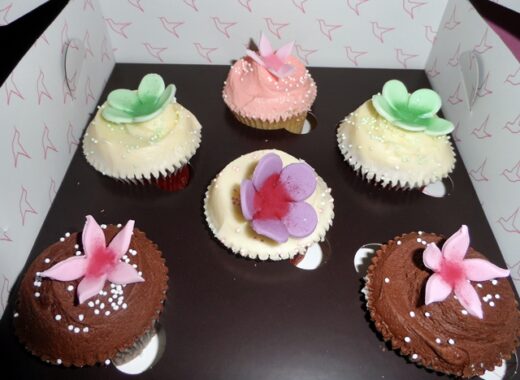 Hummingbird Cupcakes