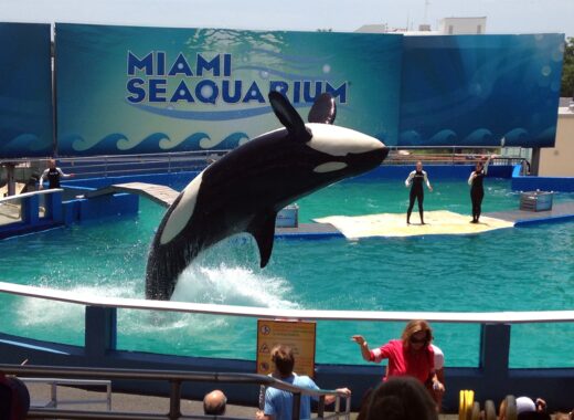 Miami Seaquarium