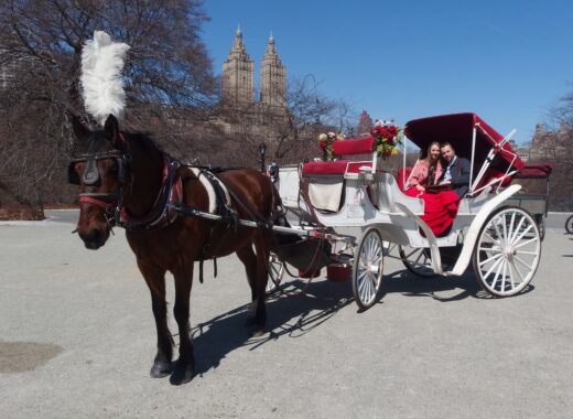 Horse & Carriage Ride Central Park