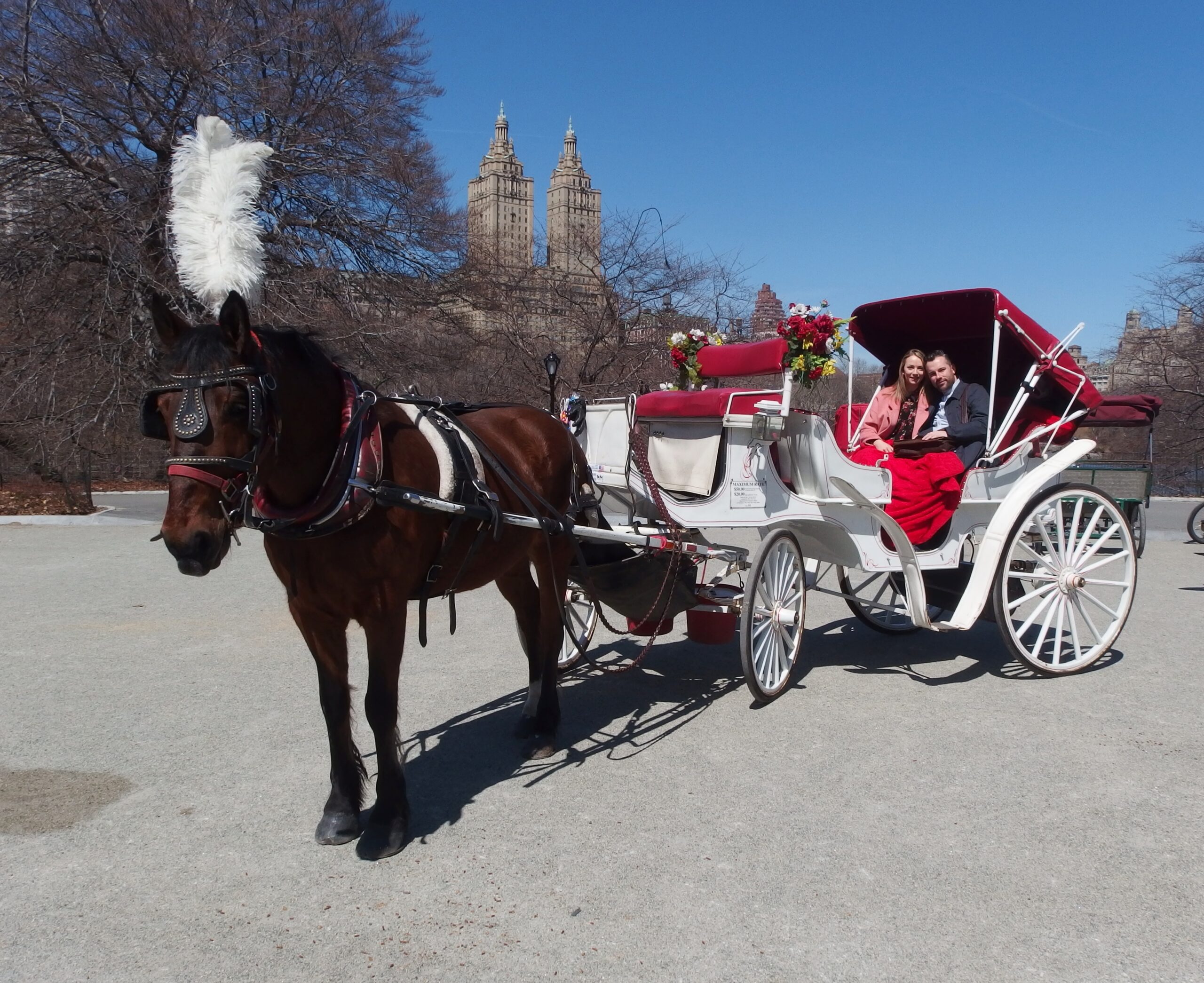 Horse & Carriage Ride Central Park