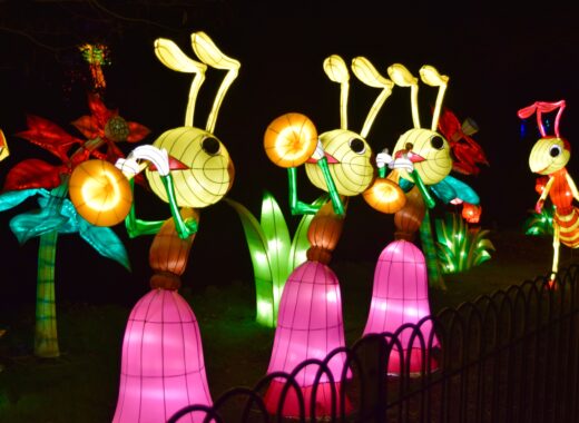 Magical Lantern Festival