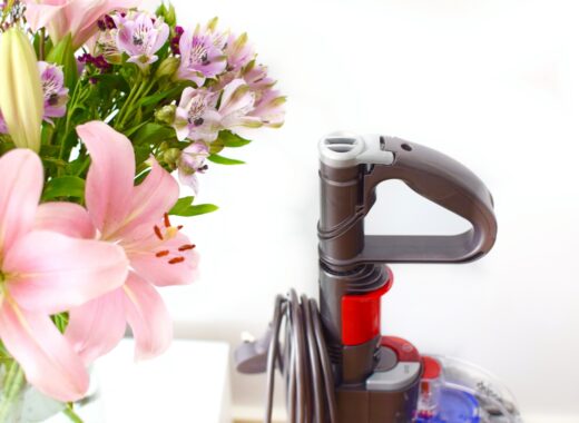 Dyson Small Ball Animal Review
