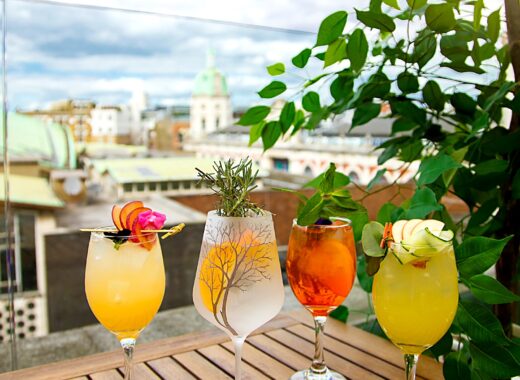 Spritz Rooftop Bird of Smithfield