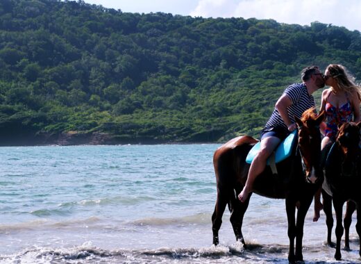 Horse riding on beach and swim Island Routes Saint Lucia