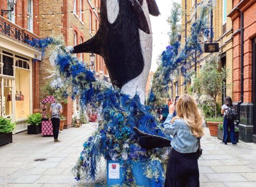 Chelsea in Bloom 2019 - The LDN Diaries