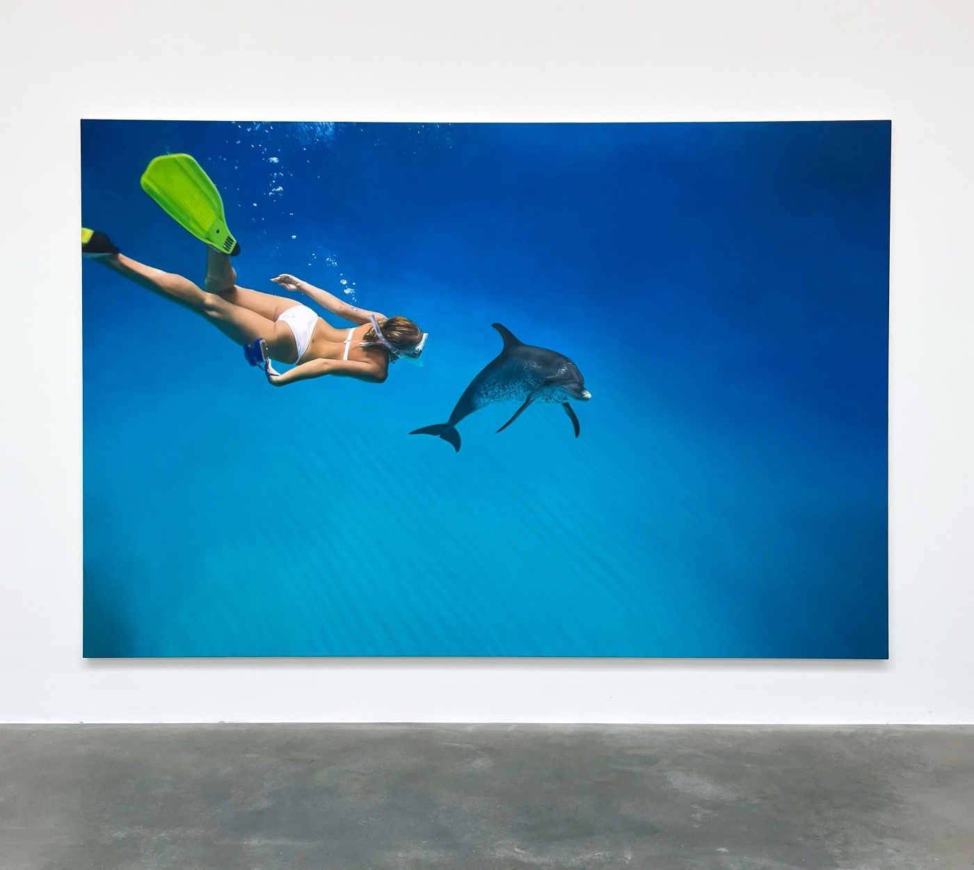 Damien Hirst Emma Swims With The Dolphin